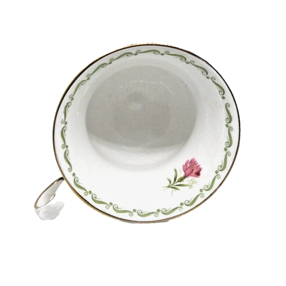 Vtg Queens Rosina China Co January Tea Cup & Saucer Special Flowers Carnation